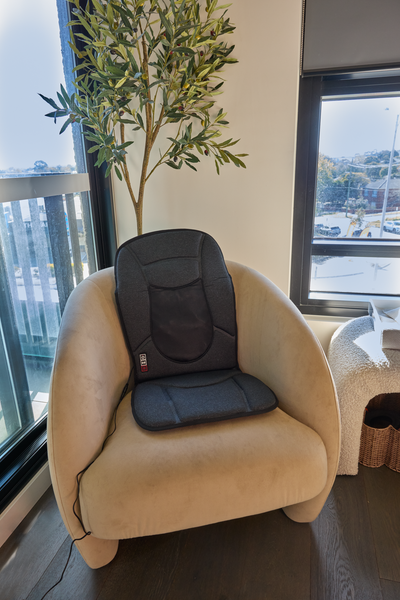 Homedics Vibration Shiatsu Back Massage Cushion with Heat